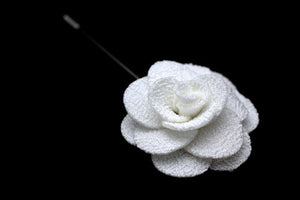 Alpine White Rose